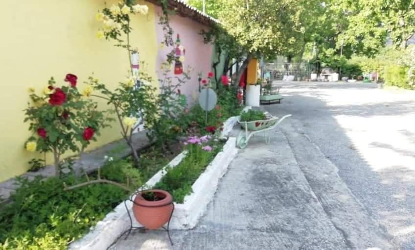 Meteora Garden Bed & Breakfast กาลัมปากา ภายนอก รูปภาพ