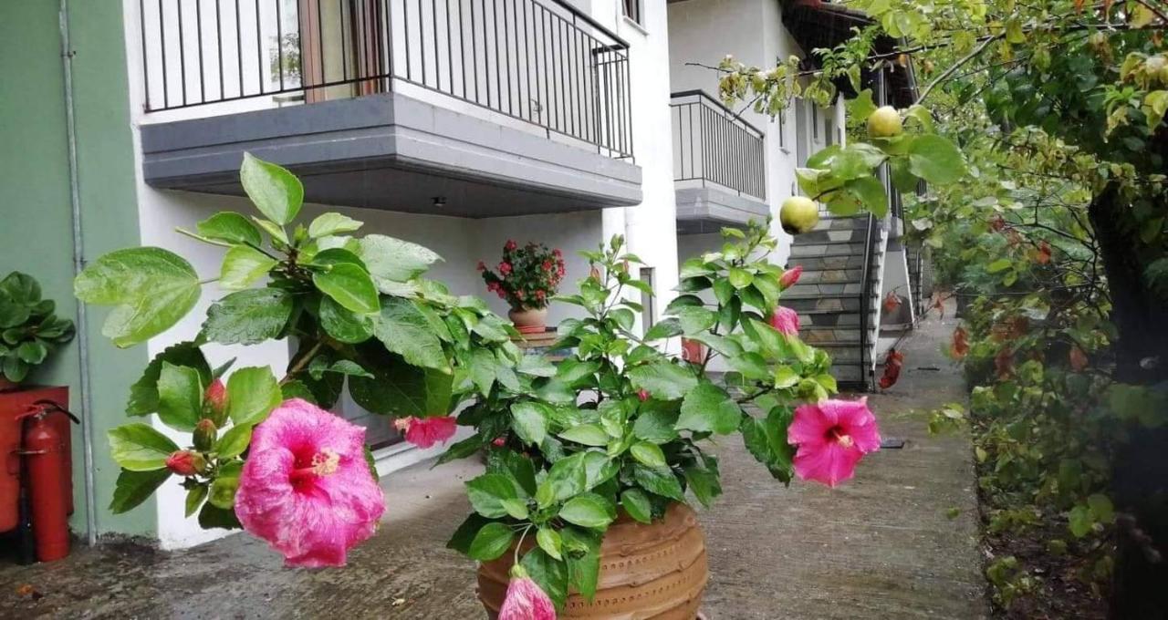 Meteora Garden Bed & Breakfast กาลัมปากา ภายนอก รูปภาพ